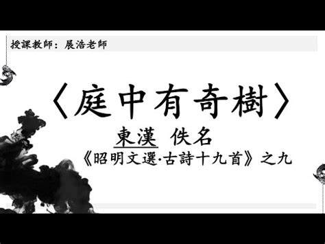 庭中有奇樹講義|古體詩選（〈迢迢牽牛星〉、〈庭中有奇樹〉、〈慈烏。